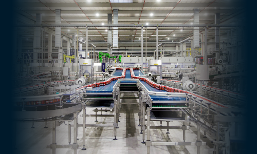 Manufacturing & Production