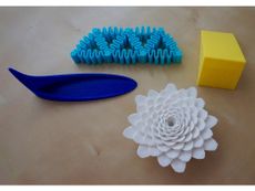 3D Printed Science Projects Models